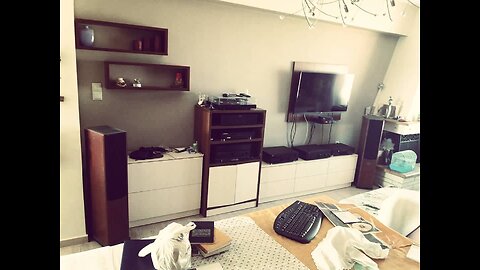 AUDIO SPECTRUM Greek origin classic old speakers