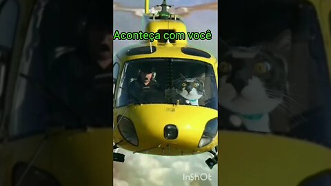 Gato Bartolomeu Tunico andando de helicóptero 😸