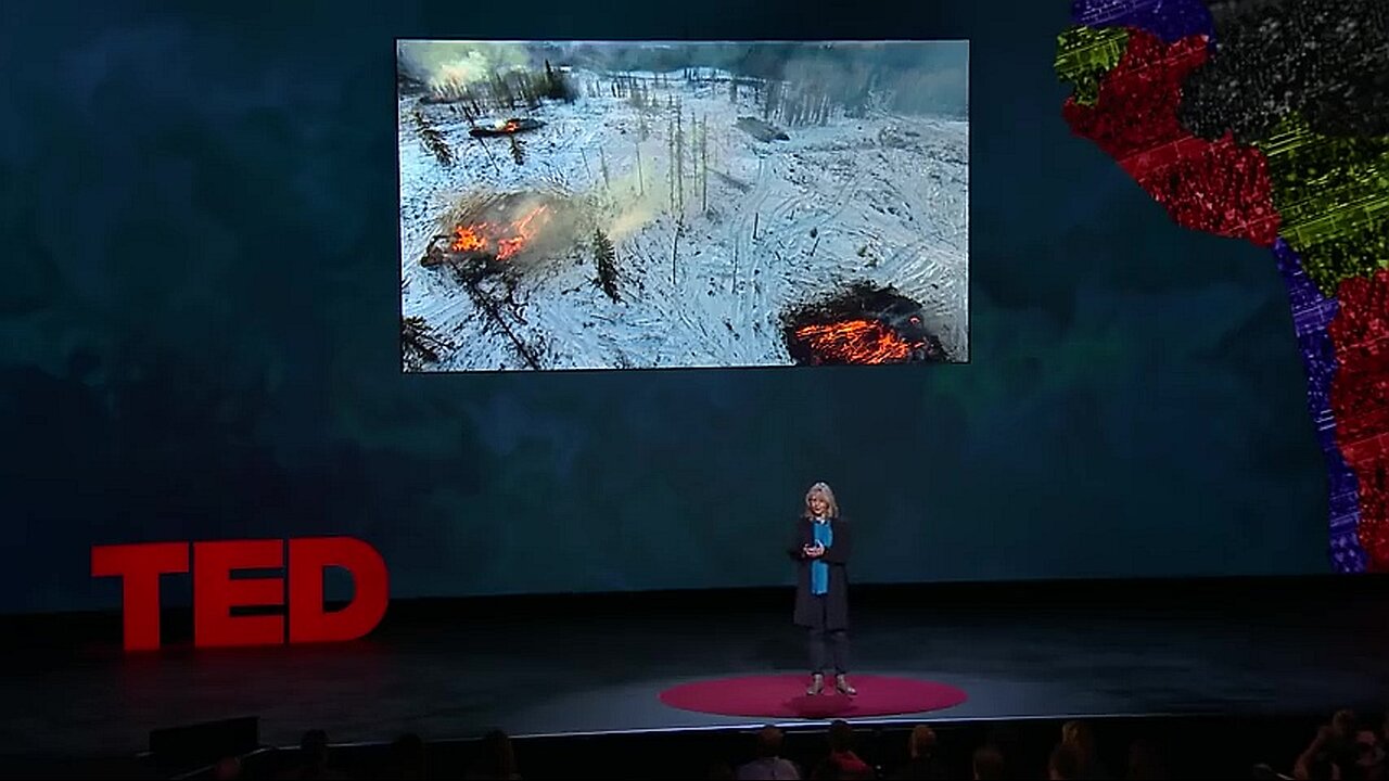 How trees talk to each other Suzanne Simard