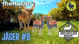 Jäger #8 Hirschfelden | theHunter: Call of the Wild (PS5 4K)