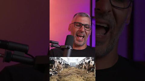 Dairy Farm #culture #exodus #podcast