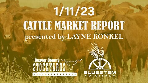 1/11/23 Beaver County Stockyards Cattle Market Report