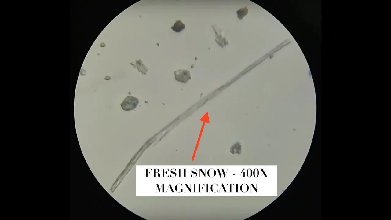 Creepy Fibers Under Microscope - Looking at Snow and Dinosaur Bones Hight Zoom