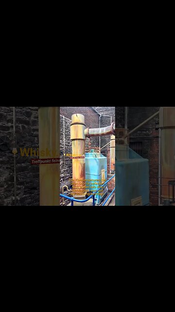 Glen Scotia Brennerei Besichtigung | Destillation-Kondensatoren-Spirit Safe-Lagerhaus