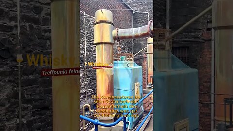 Glen Scotia Brennerei Besichtigung | Destillation-Kondensatoren-Spirit Safe-Lagerhaus