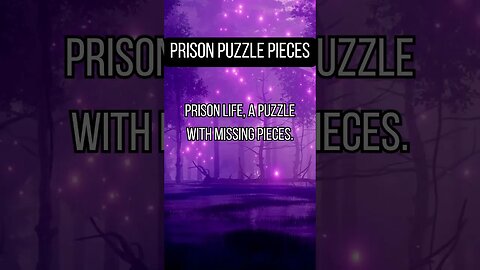 Prison Puzzle Pieces