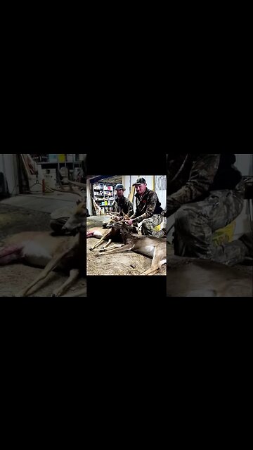 2022-2023 Deer season montage! #deerseason #whitetail #southgeorgia #shorts