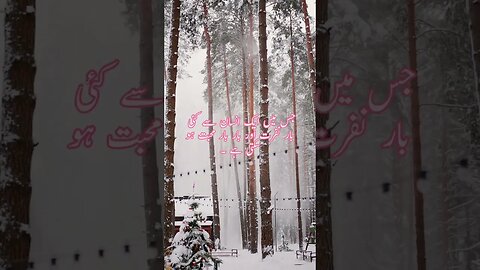 Husband Wife Relation _ #islam #ytshorts #quotes #islamicquotes #viral #viralvideo #viralshorts