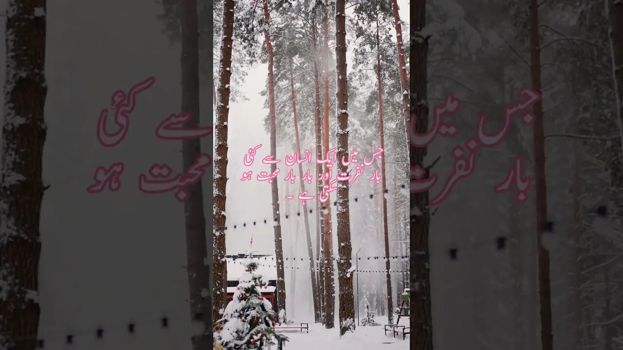 Husband Wife Relation _ #islam #ytshorts #quotes #islamicquotes #viral #viralvideo #viralshorts