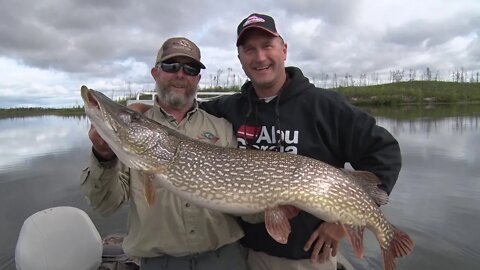Huge Pike at Cree River Lodge in Northern Saskatchewan