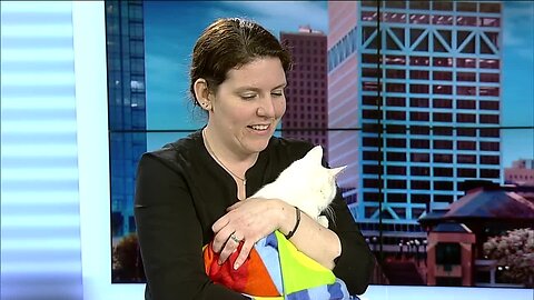 Planning for pet emergencies