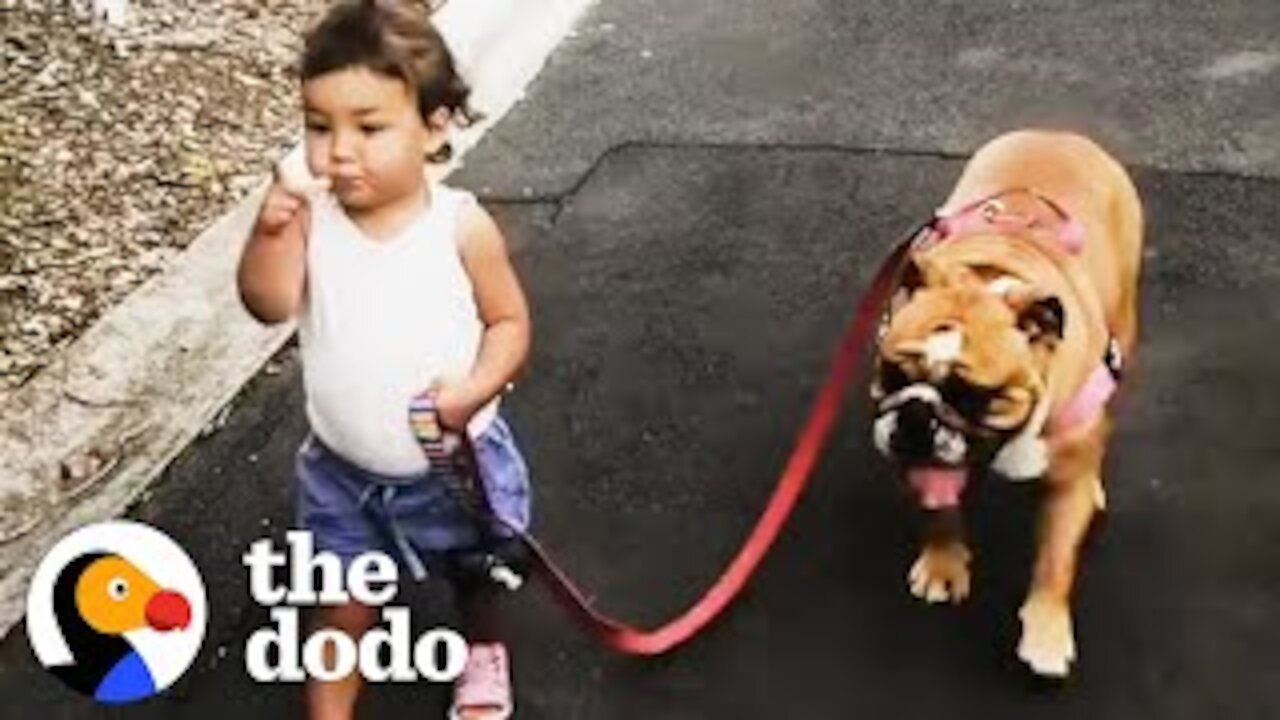 Little Girl Grows Up With Dog BFF — And Introduces Him To Her New Brother