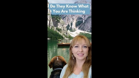 #Telepathy is Stronger with #Emotional #Connection 💕🦮