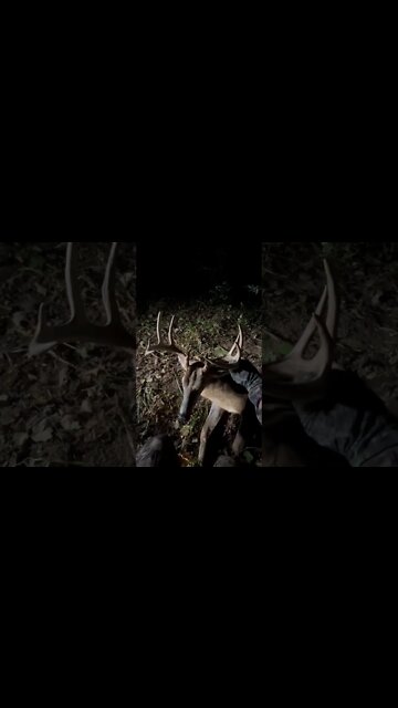 We FOUND Him! (Ohio BUCK Down! )