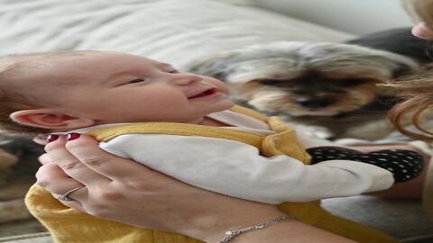 Cut baby dog