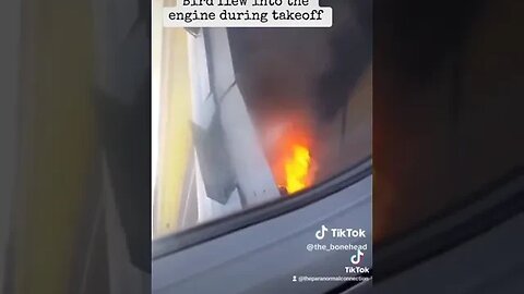 The Damaged Engine