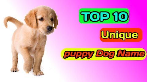 Top 10 Most Popular Dog & Puppy Names in 2019 For Boys & Girls