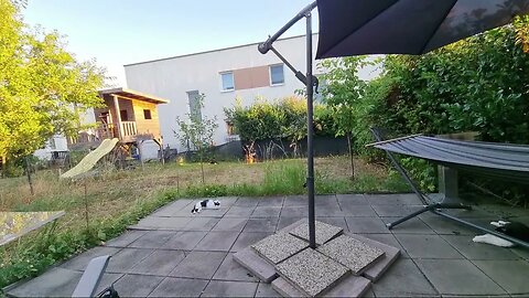 Highlight 3:45:48 – 3:50:48 von Silent Long LIVE for wh update in the garden @TravelGeorge #ghit