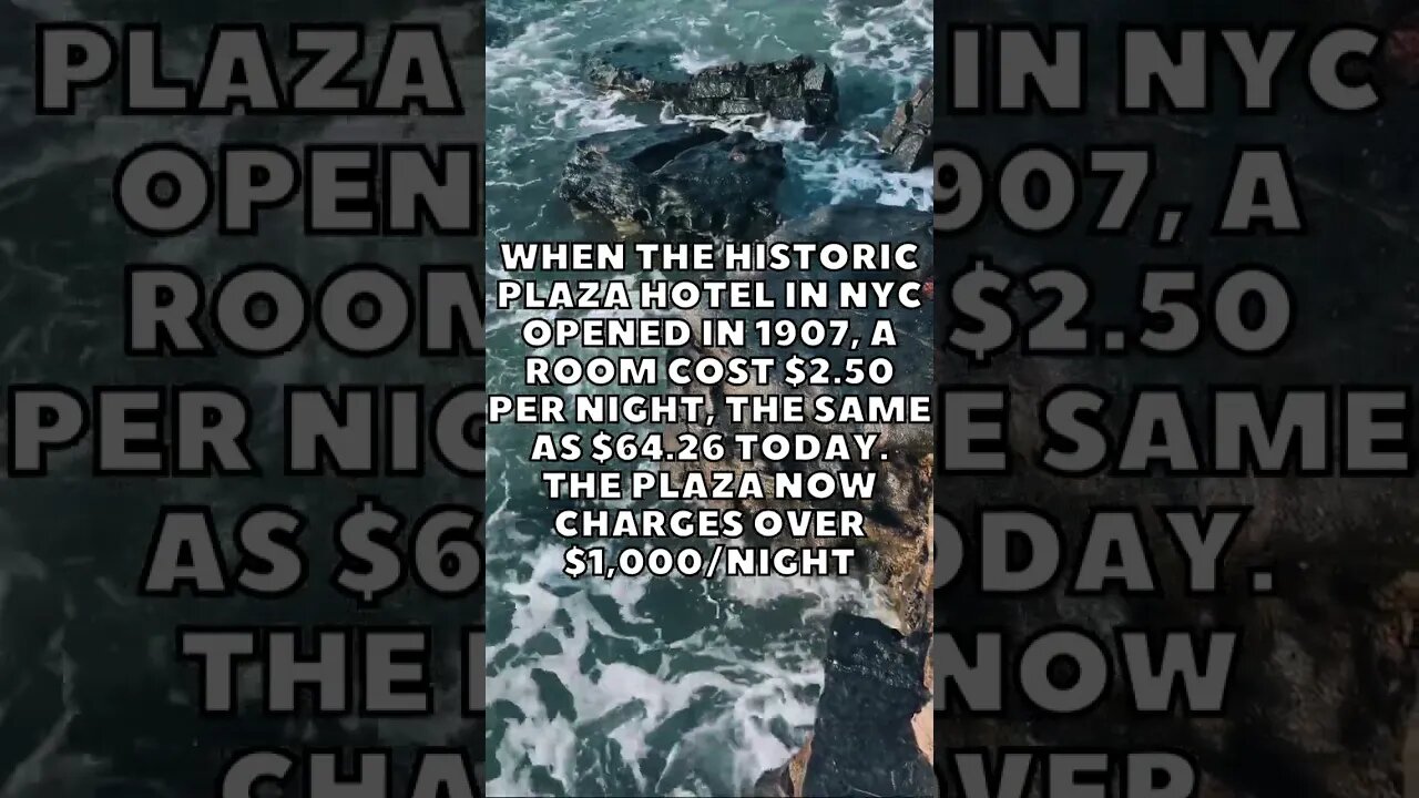 Incredible Random Facts That Will Expand Your Mind! [2023] #shorts #facts #viralshorts #fyp #life