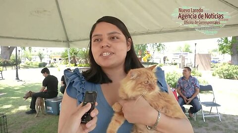 Brinda Gobierno Municipal hogar a mascotas rescatadas con Feria de Adopción