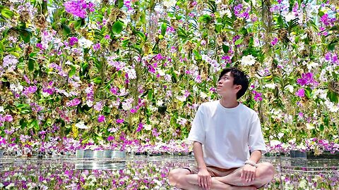 Floating Flower Garden in Japan's Digital Art Museum: teamLab Planets TOKYO
