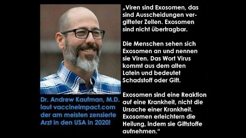 Mit Lügen in den Untergang?