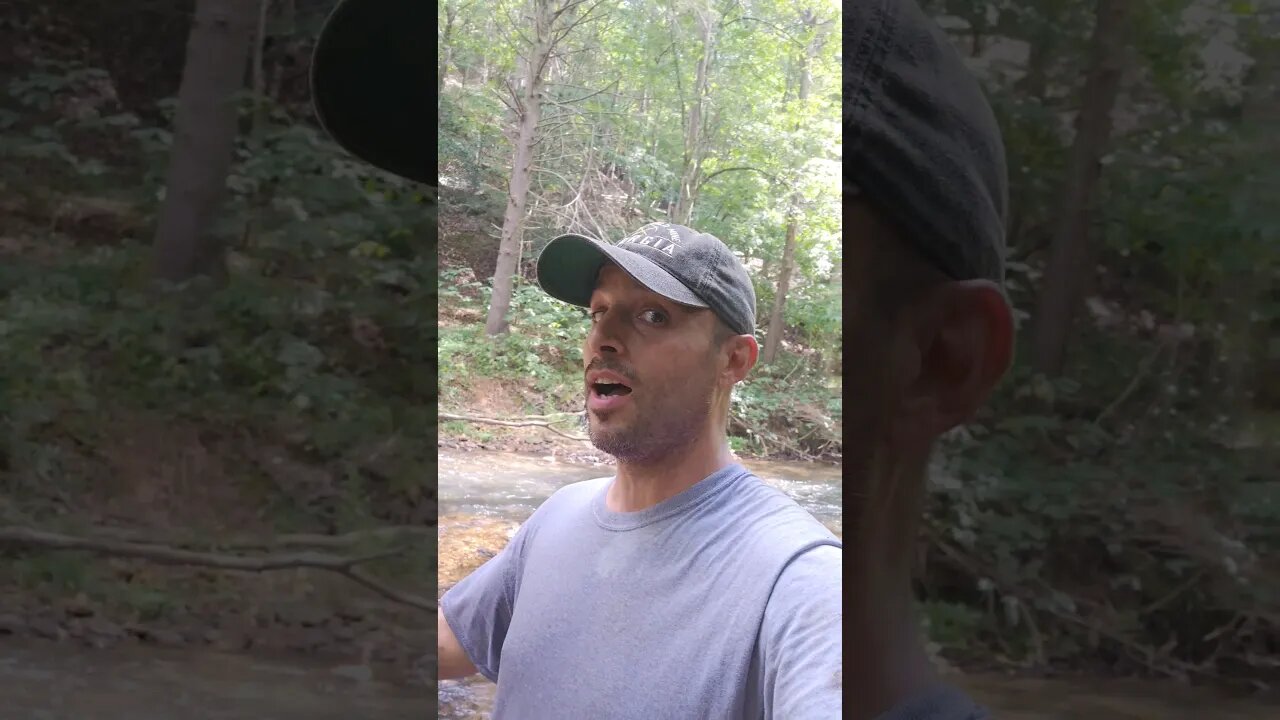 I found a new paystreak to work! #goldprospecting