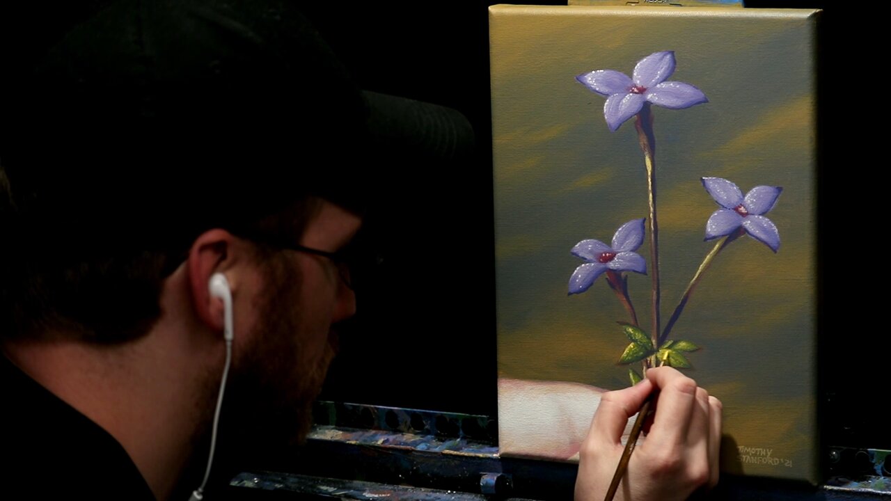 Acrylic Painting of a Spring Wild Flower - Time Lapse - Artist Timothy Stanford