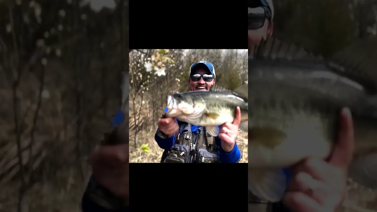 Paul @CincyFishDudes Catches Largemouth Bass on the Cast Cray Nub #bassfishing #shorts #fishing