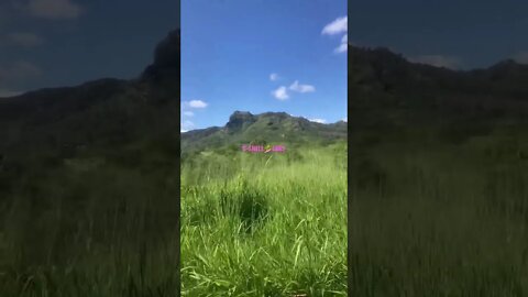 SLEEPING GIANT MOUNTAIN, KAPA’A, HI