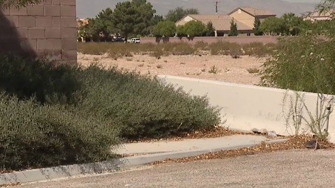 Drivers turn sidewalk into road near Liberty HS