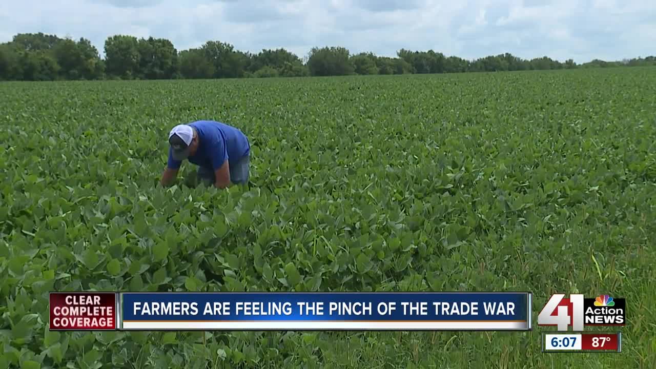 Farmers feel pinch, hope for fair trade agreement as China halts US agriculture purchases