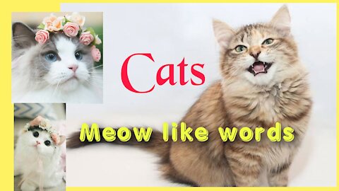 Cats mow like English words