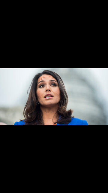Tulsi Gabbard Explains What She Sees as the ‘True Danger’ to America