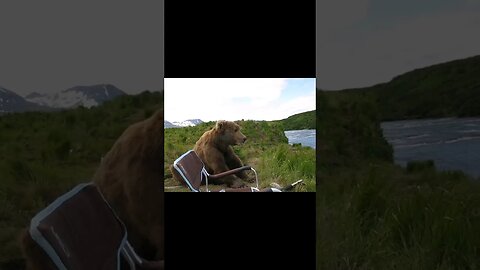 #bear sits next to man by the river #nonsense #zoobox #funny #goofy #camping