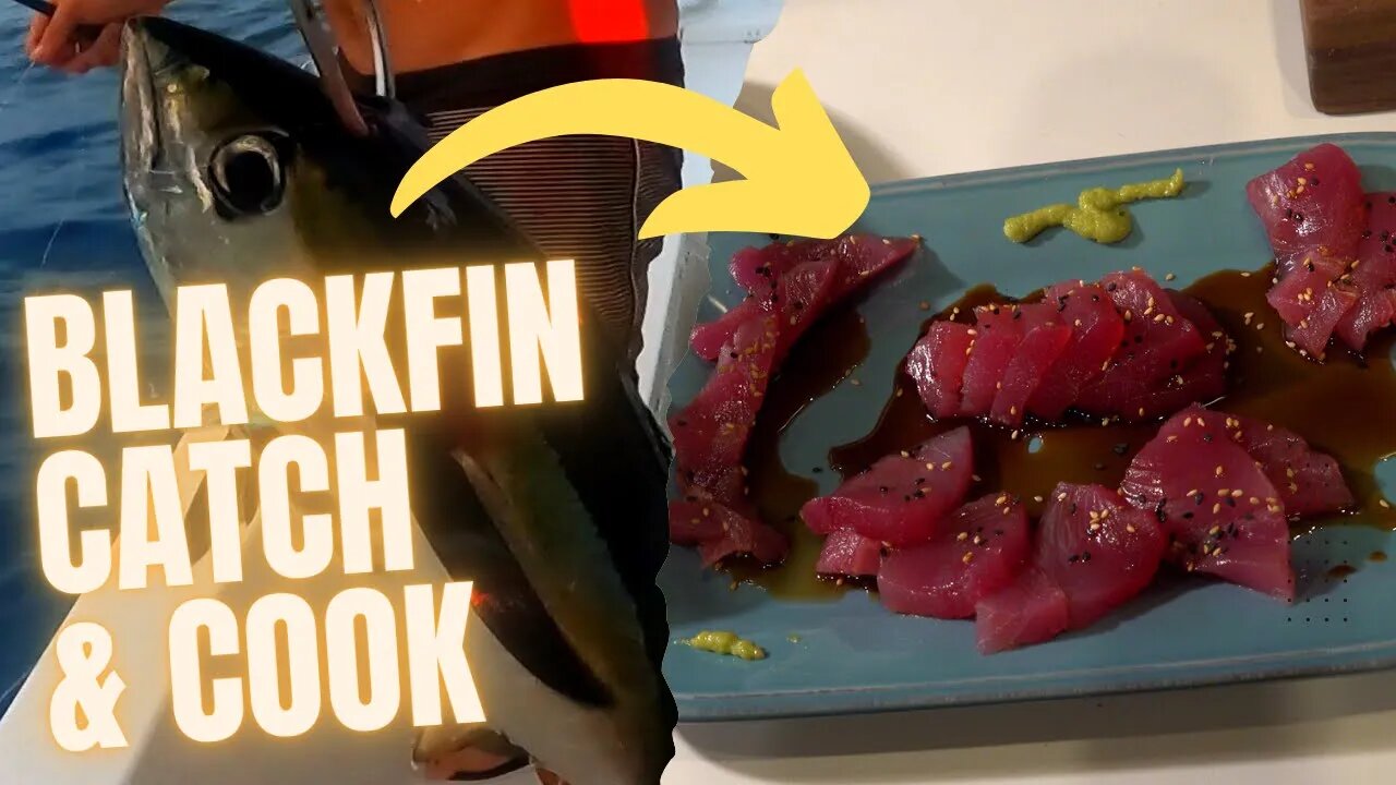 Catching and Cooking a fresh Blackfin Tuna