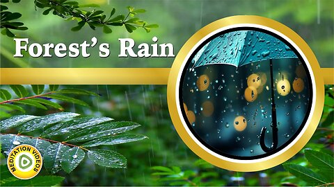 4k Rain sound for relaxing, rain in forest, nature, relaxing rain, rainy day