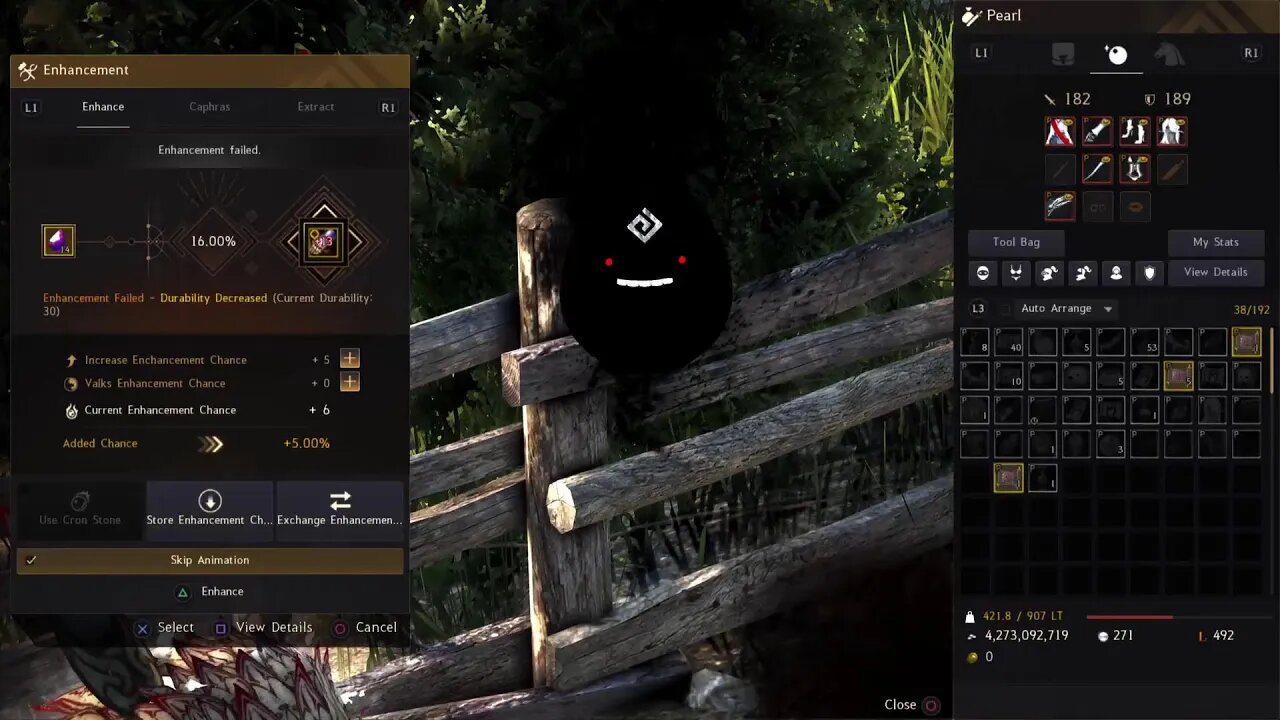 BDO just missions and other things