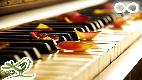 Piano Music - Best version - Relaxing Music - Deep Sleep - 캐논변주곡
