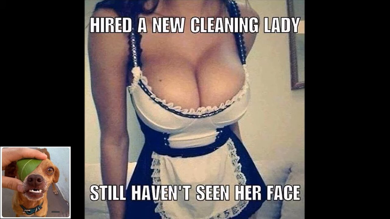 Memes That Will 99.0016% Make You Laugh. (e240)
