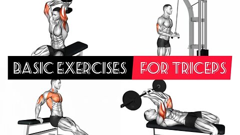 Basic exercises for triceps(barbell/dumbbells/body weight/cable)