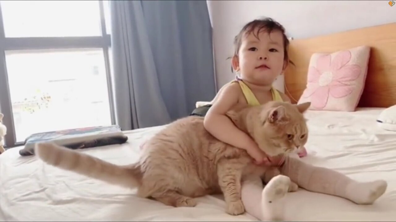 A Little Girl Bonding With Her Cute Cat