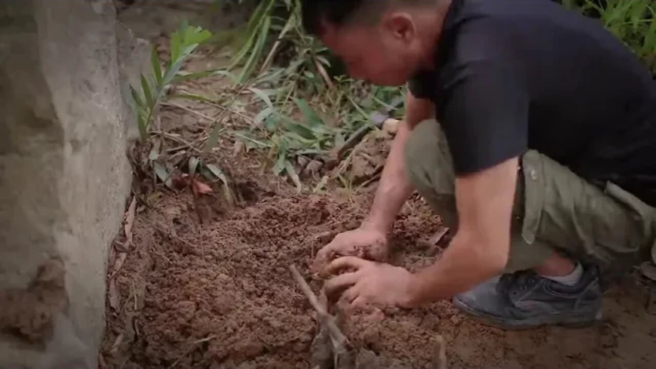 8 Building Complete and Warm Survival Shelter In The Trunk , Fireplace With Clay , Crab Trap and Co