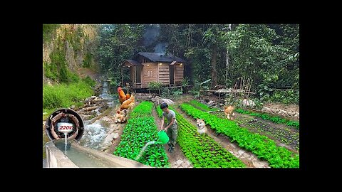 Build houses, fish ponds, gardens, hydroelectric, alone build life last for hundreds years in forest