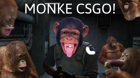 CS:GO MONKE MONTAGE!