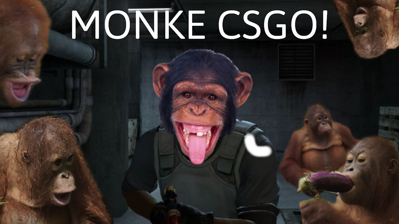 CS:GO MONKE MONTAGE!