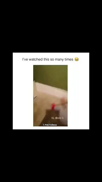 🤣🤣🤣🤣🤣 #shorts #shorts_video #shortsbeta #shortstatus #shortsindia #shortsanime #shortsbrasil #