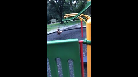 The Sexxxy Amazon at play.
