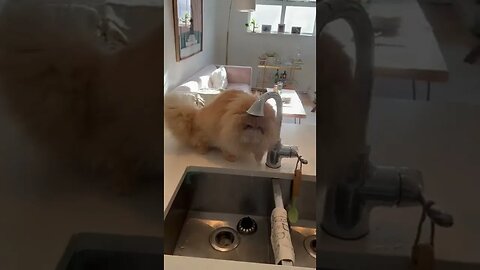 U good? # Video By rupert #Shorts