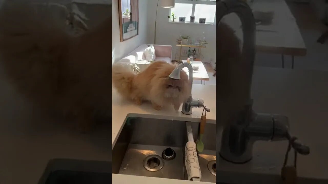 U good? # Video By rupert #Shorts